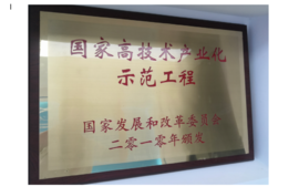 2010年获国家生长和刷新委员会揭晓的“国家高手艺工业化树模工程”