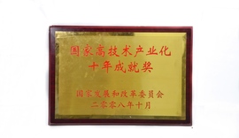 国家高手艺工业化十年成绩奖