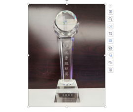 2008年国家高手艺工业化十年成绩专题展览“优异组织奖”