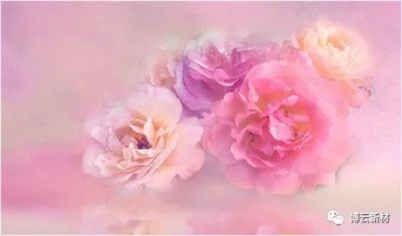 好博(中国)体育智能科技股份有限公司网站